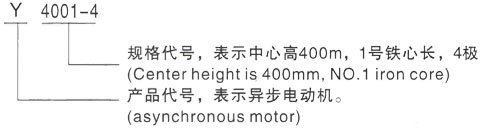 西安泰富西玛Y系列(H355-1000)高压YKK4504-4三相异步电机型号说明